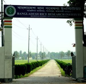 Bangladesh Rice Research Institute