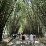 Bladerdek van bamboe