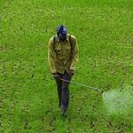 spraying pesticide