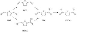 Oxidation of HM into FDCA