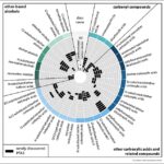 PFAS categories